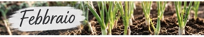 Calendario dell’orto a febbraio
