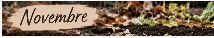 Calendario dell’orto a novembre